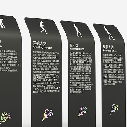 項(xiàng)目實(shí)施作品案例展示