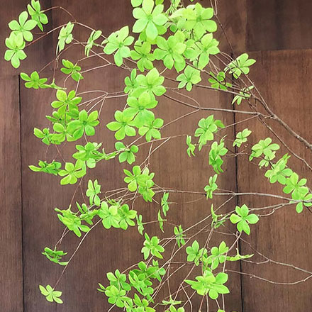 度假村景區作品案例展示