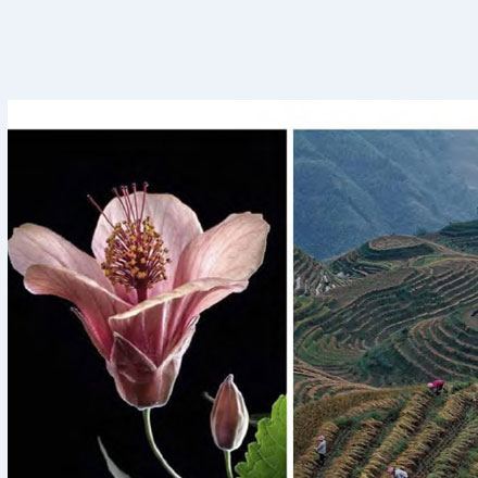 溫泉&酒店作品案例展示